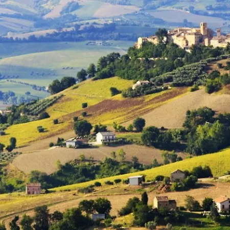 Comfortable Lower Level In With Private Pool Vakantiehuis *