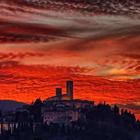 Comfortable Lower Level In With Private Pool Vakantiehuis