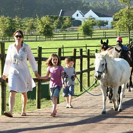 Comfortable Lower Level In With Private Pool Vakantiehuis Montelabbate