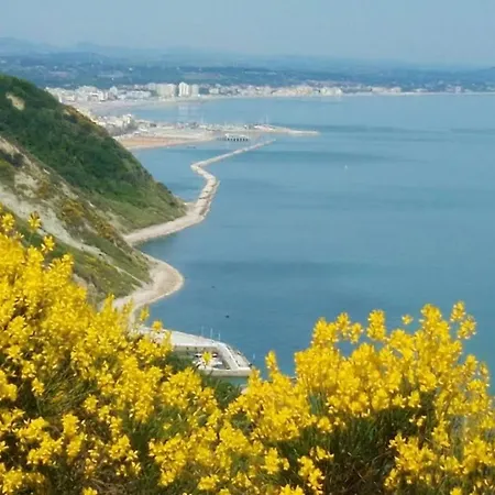 Comfortable Lower Level In With Private Pool Vakantiehuis