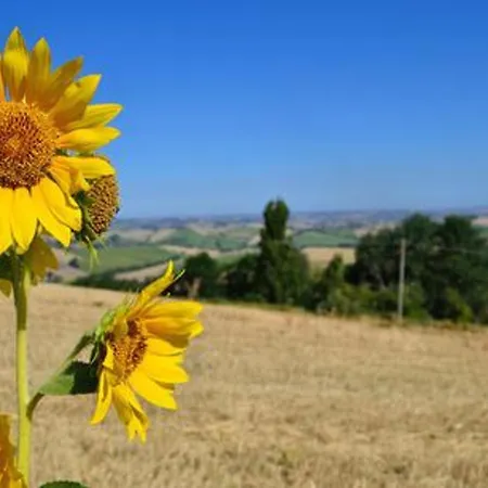 Vakantiehuis Comfortable Lower Level In With Private Pool