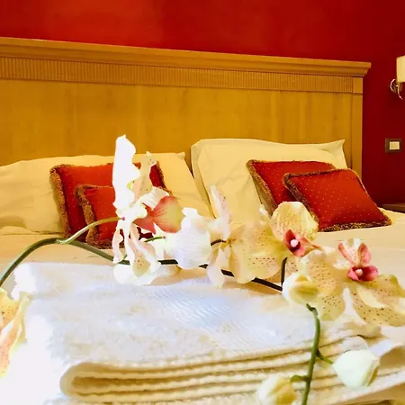 Comfortable Lower Level In With Private Pool