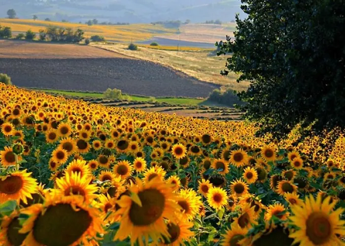 펜션 Comfortable Lower Level In With Private Pool *