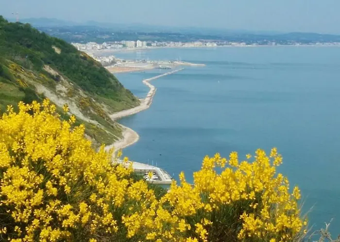 Comfortable Lower Level In With Private Pool Casa vacanze