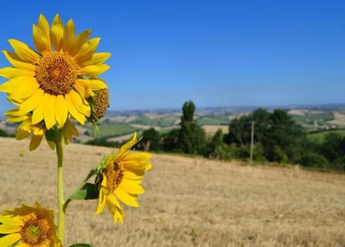 Casa vacanze Comfortable Lower Level In With Private Pool